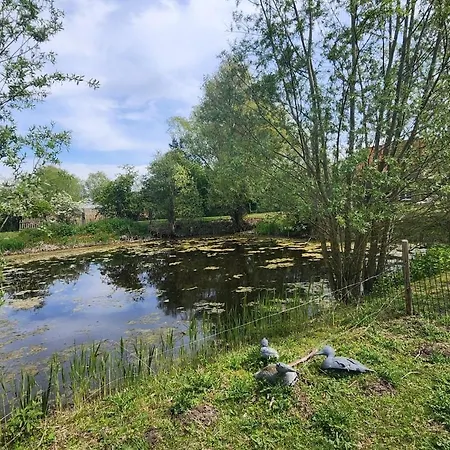 Le Petit Paradis De * Noordpeene
